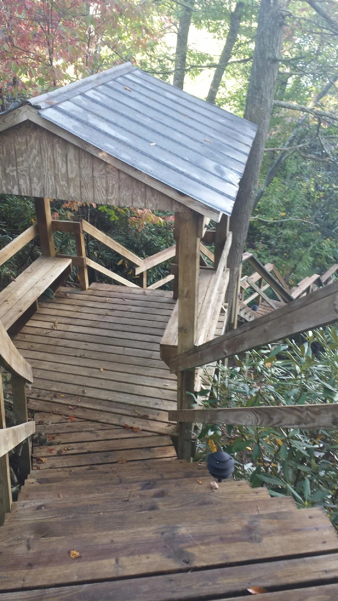 Metal roofed shelter over wooden steps on a wooded walkway — Skylight Repair & Installation work by our crew in Guntown